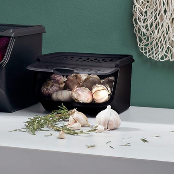 Tupperware GarlicSmart nádoba na uchovanie čerstvosti cesnaku